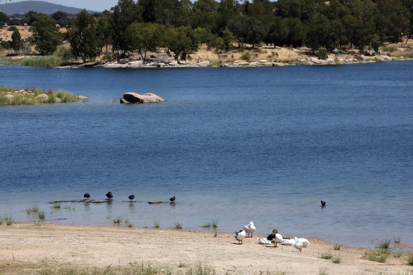 En la charca de día y al teatro de noche