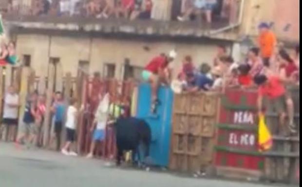 Ingresada en la UCI en estado grave una mujer corneada en Garrovillas