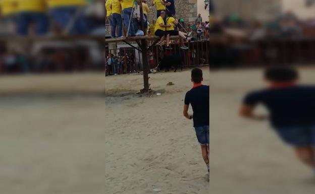 Herido muy grave un hombre tras ser corneado por un toro en Cuacos de Yuste