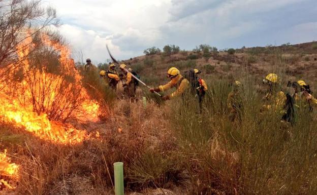 La superficie quemada en Extremadura es un 60% menor que la media de los últimos años