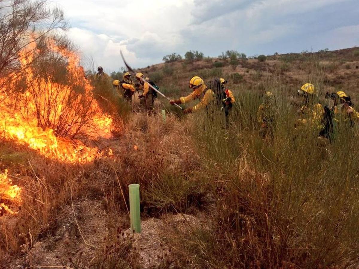 Los agentes actuando para apagar el incendio que ha afectado a Mata de Alcántara
