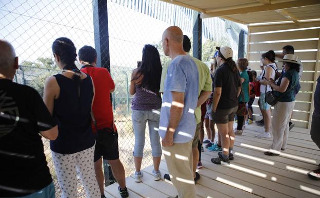 Los linces de Sierra de Fuentes reciben una veintena de solicitudes de visita al día
