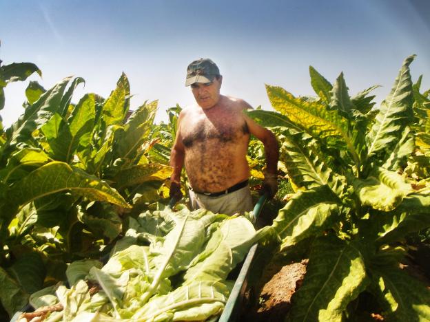 Los últimos tabaqueros de Medellín