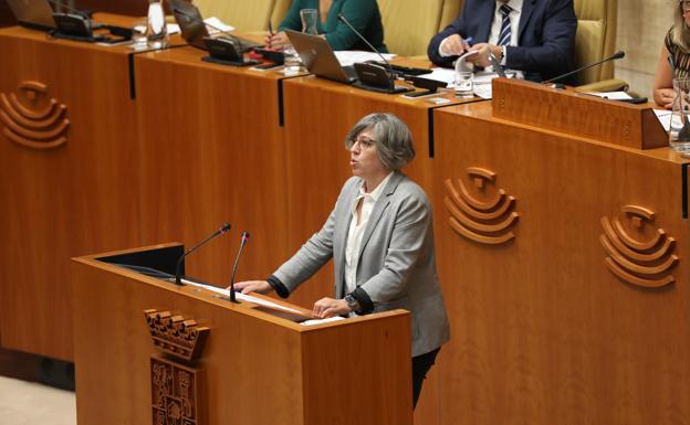 La Asamblea aborda el debate de totalidad de la ley regional de memoria histórica