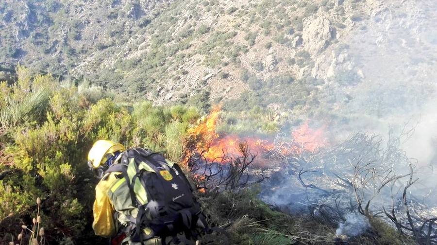 Once medios aéreos luchan contra un incendio forestal en Guijo de Santa Bárbara