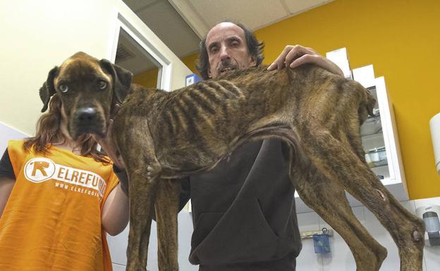 El vecino de Piedras Albas condenado por maltratar a su perra será juzgado de nuevo mañana