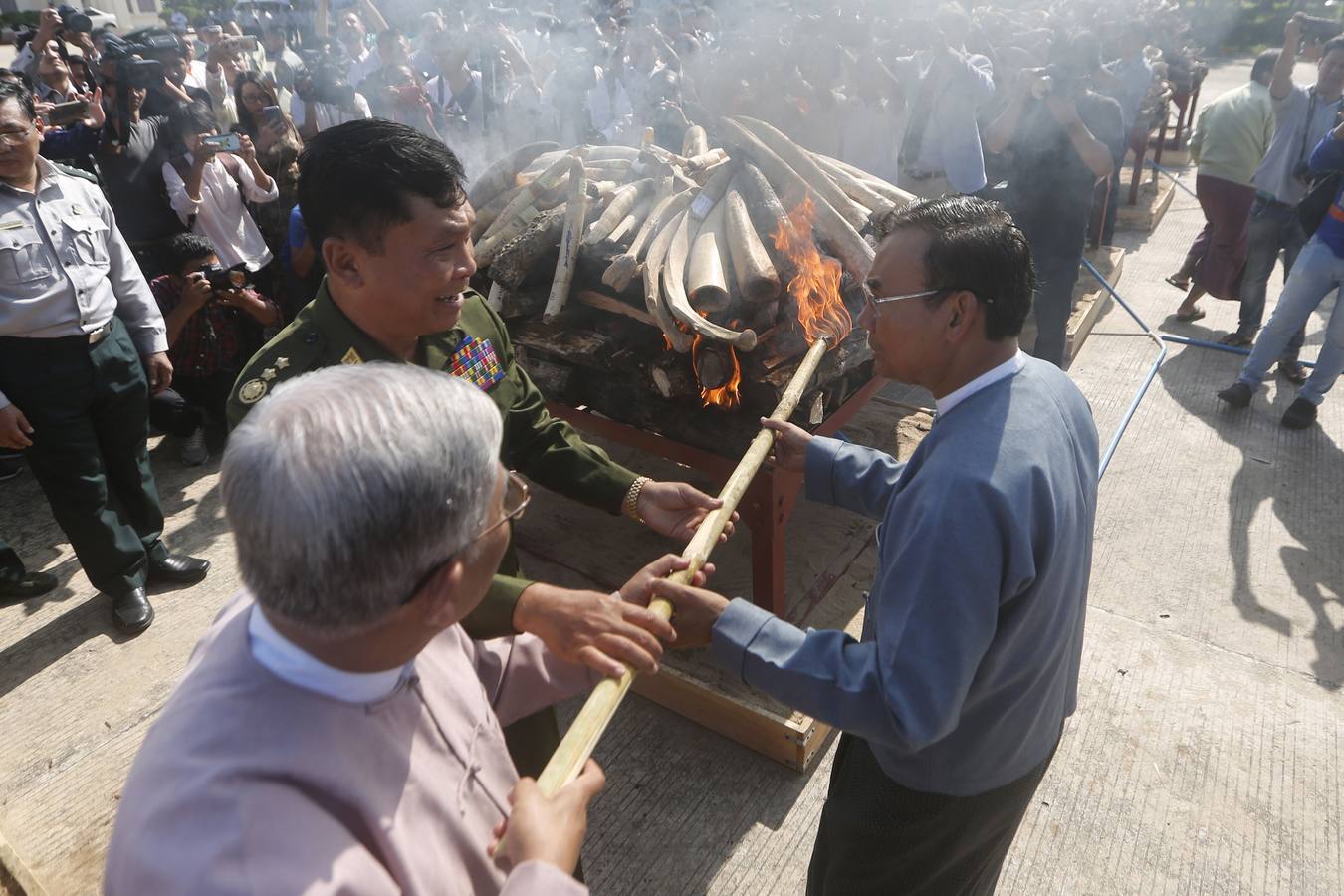 Ceremonia de destrucción de marfil de elefante confiscado y partes de vida silvestre en Birmania