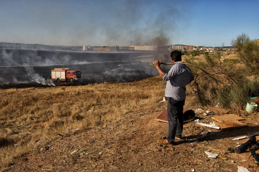 Incendio de pastos en El Junquillo