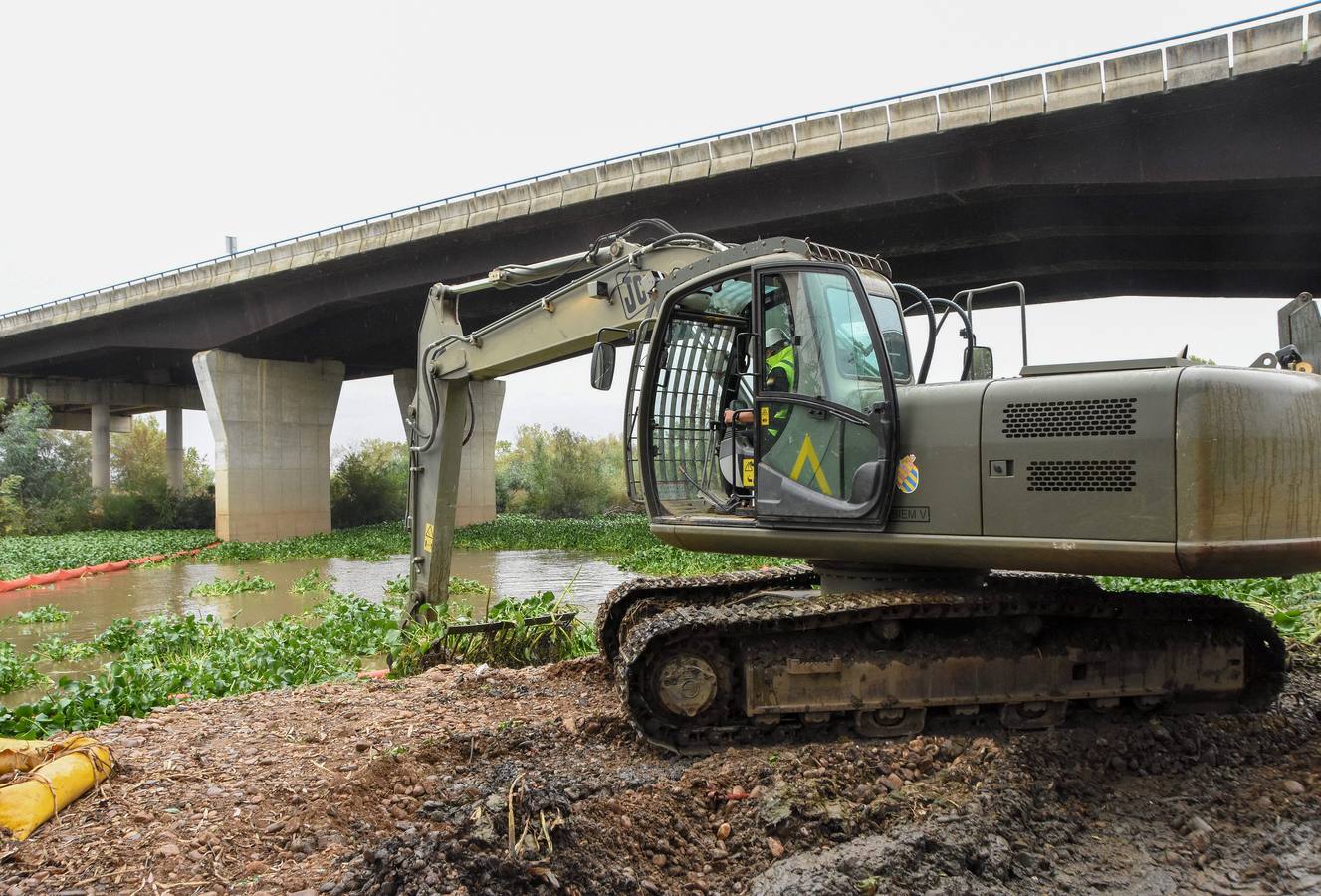 La UME inicia los trabajos para retirar el camalote del Guadiana