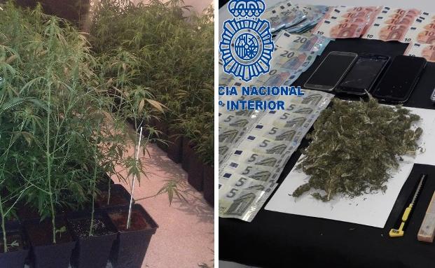 Cuatro detenidos por la Policía Nacional en dos operaciones antidroga en Cáceres y Mérida