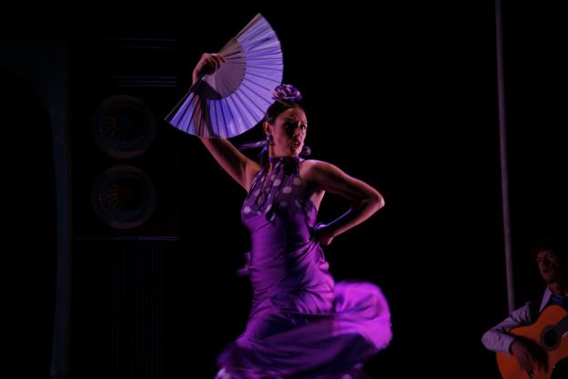 'Genoma B', 'La casa de Bernalda Alba' en clave flamenca y circense