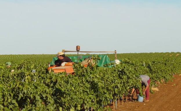Un nuevo paso para las tierras de regadío en Monterrubio de la Serena