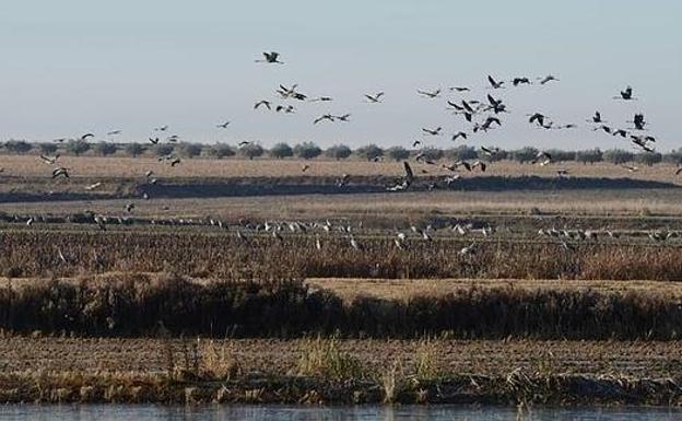 Extremadura promociona su turismo de naturaleza en Taiwán, Francia y Holanda