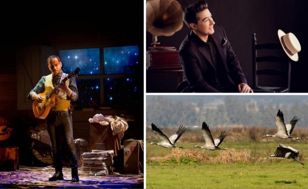 Diciembre se ilumina con Ismael Serrano, rock para niños y grullas