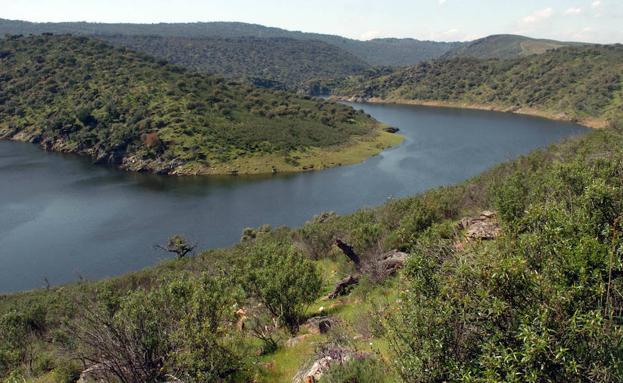 Observación de estrellas, botánica y arte rupestre en Monfragüe