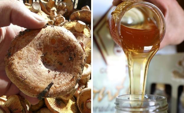 La Siberia celebra un puente gastronómico lleno de rutas, talleres, safari y degustaciones