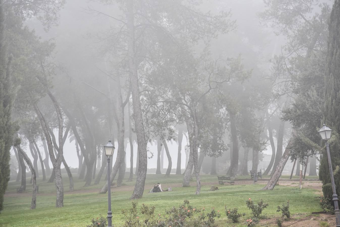 Badajoz amanece cubierta de niebla