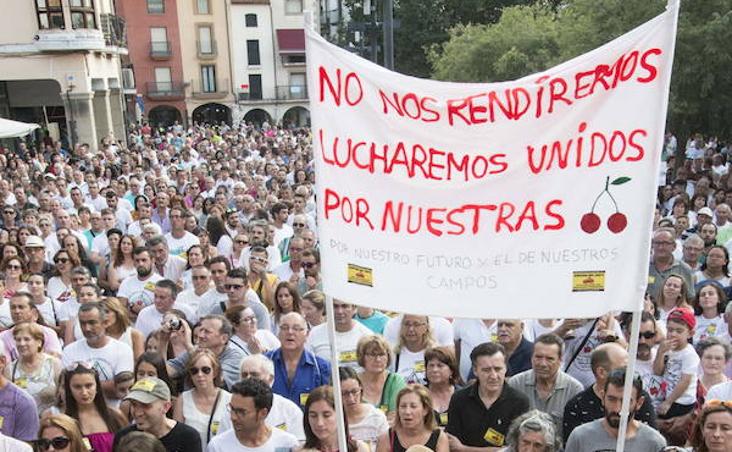 14 de julio. Los cereceros, en pie de guerra. Cerca de un millar de productores se concentraron en la Plaza Mayor de Plasencia para reclamar un precio justo para este fruto. :: 
