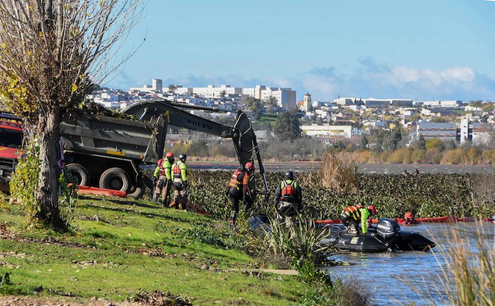 26.000 toneladas menos de camalote