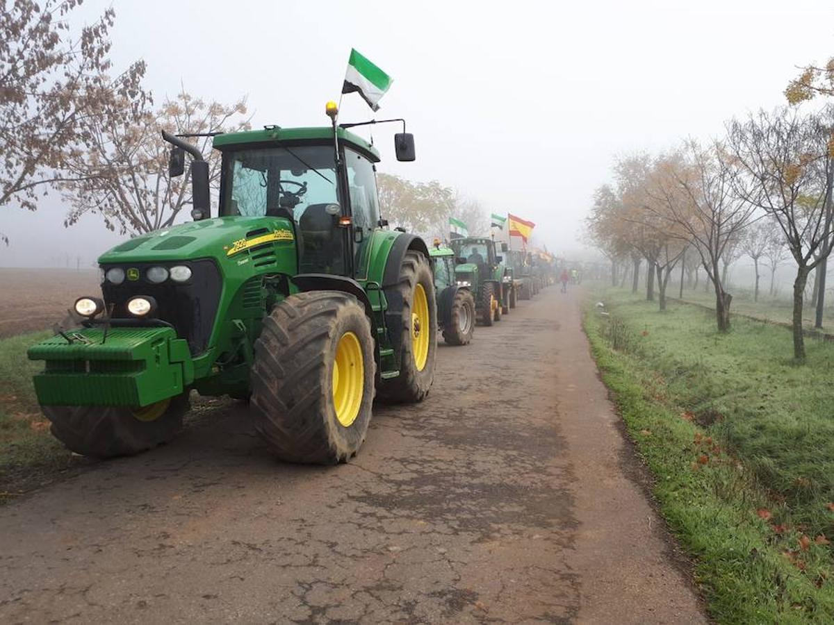 Los agricultores hacen una tractorada en Mérida por los bajos precios