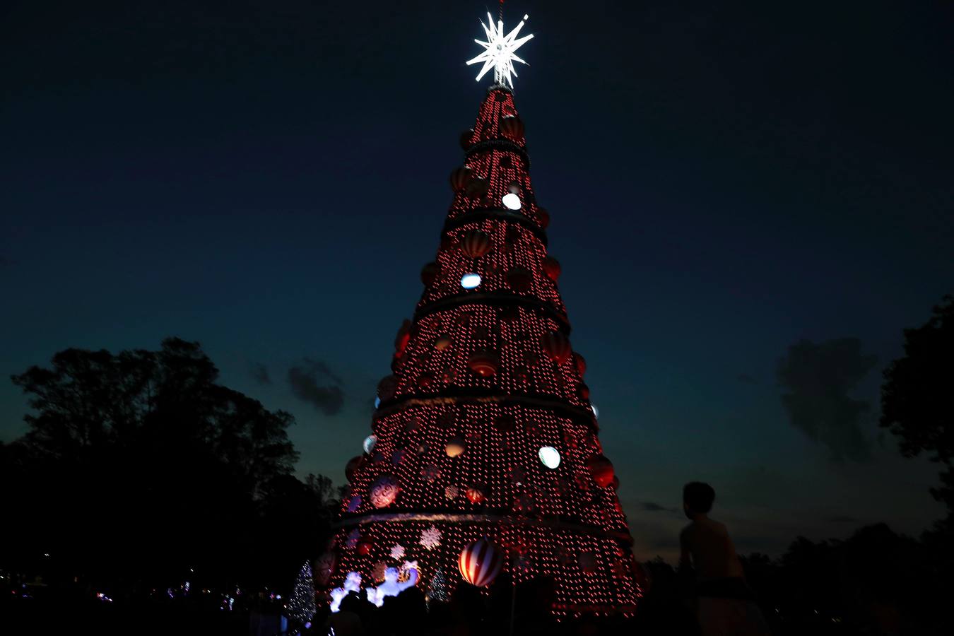 Un espectáculo de luces ilumina el pulmón verde de Sao Paulo