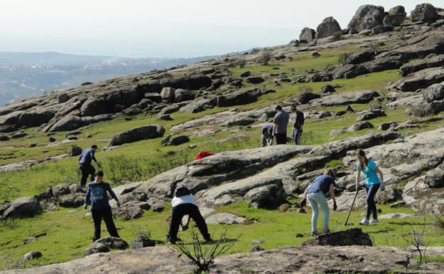 Abierto el plazo para inscribirse en el programa de repoblación 'Plantabosques'