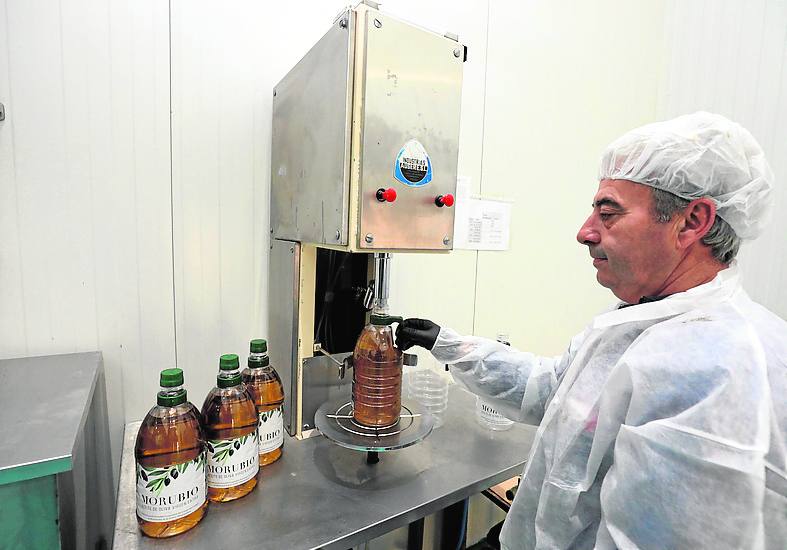 El aceite de oliva extremeño gana mercado por su calidad