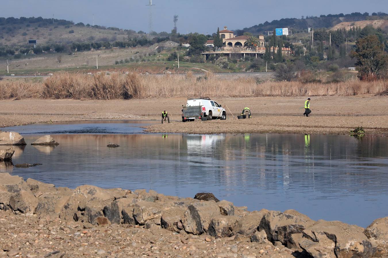 El Guadiana adelgaza para combatir el camalote