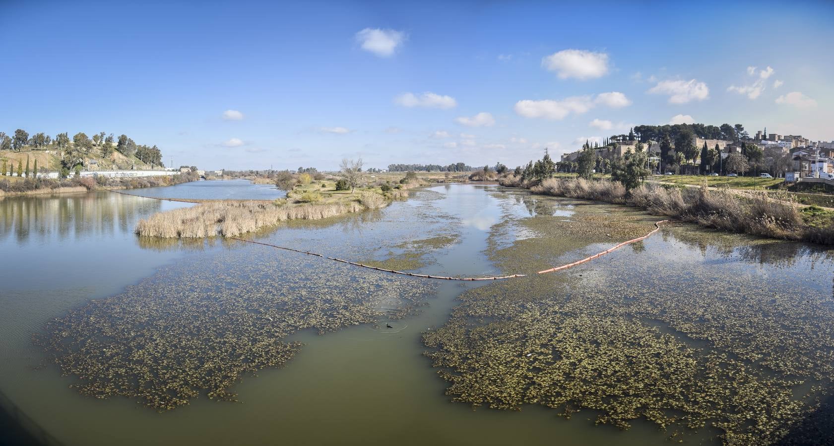 Un Guadiana limpio a su paso por Badajoz