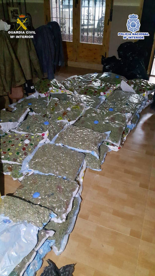 Desarticulado un clan familiar chino que plantaba y exportaba marihuana desde Extremadura