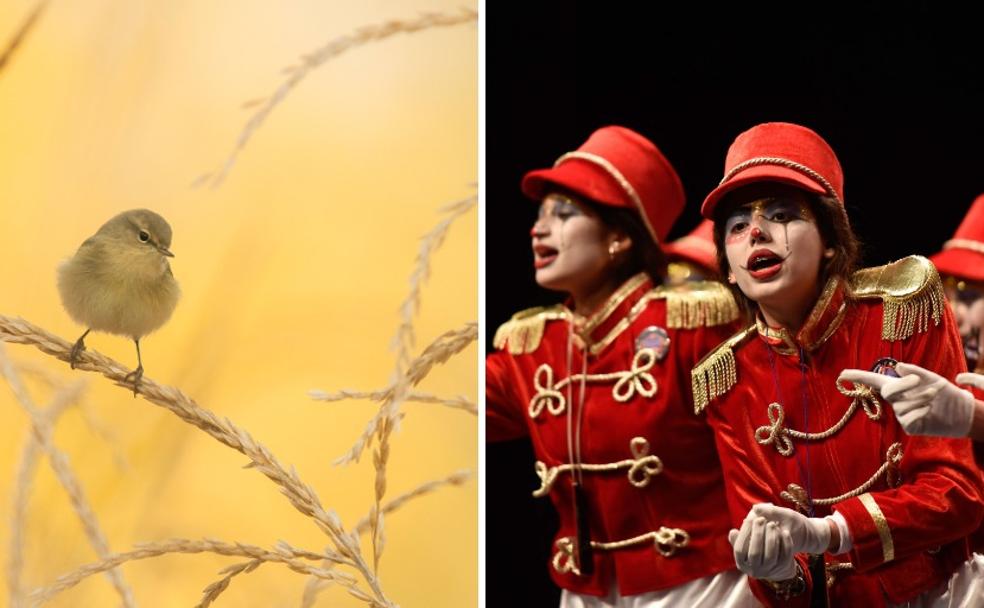 Monfragüe alza el vuelo en un fin de semana de 'Combita' y seriófilos