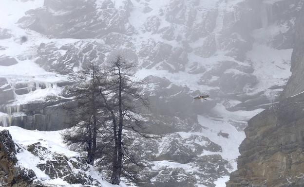 El italiano Stanislao Basileo, primer extranjero que gana el concurso fotográfico de FIO