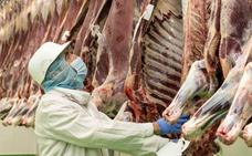 La demanda de carne de lidia anima a las ganaderías de reses bravas