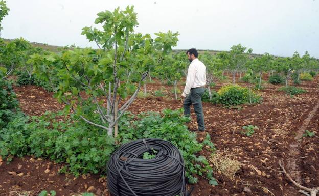¿Para qué sirve la PAC?