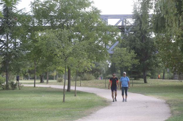 La iluminación de los paseos y las zonas deportivas de la Isla de Mérida comienza en breve