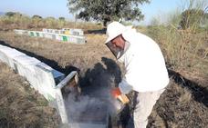 Cooperativas Agro-alimentarias celebra la nueva propuesta de Agricultura sobre el etiquetado de la miel