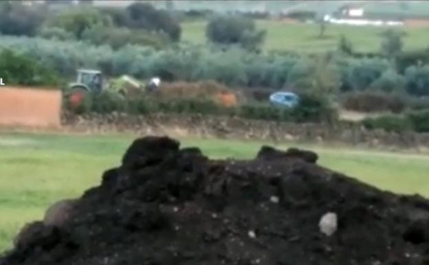 Dos detenidos por maltrato animal por matar a una vaca de un disparo en Casillas de Coria