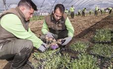 Convocadas las ayudas para el fomento de la economía verde en las explotaciones agrarias