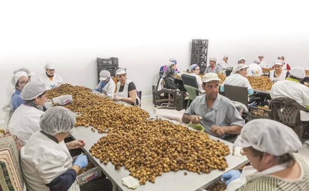 El negocio de la industria alimentaria extremeña crece un 13% en dos años