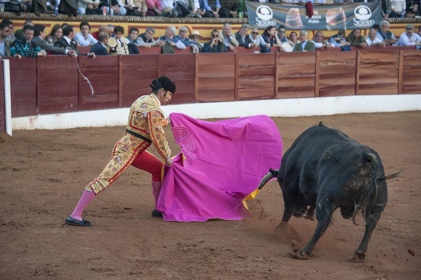 Ginés y Roca Rey cierran una triunfal feria de Olivenza