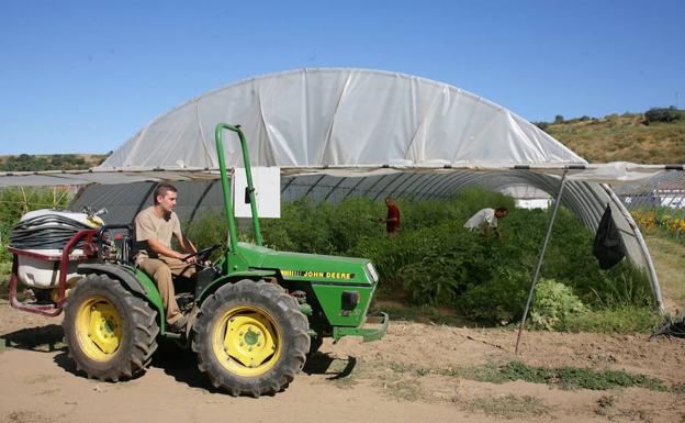 Sostenibilidad por kilo de alimento