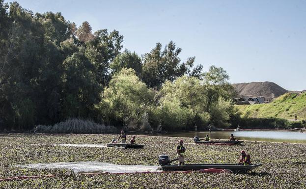 Badajoz despedirá a la UME tras su labor con el camalote