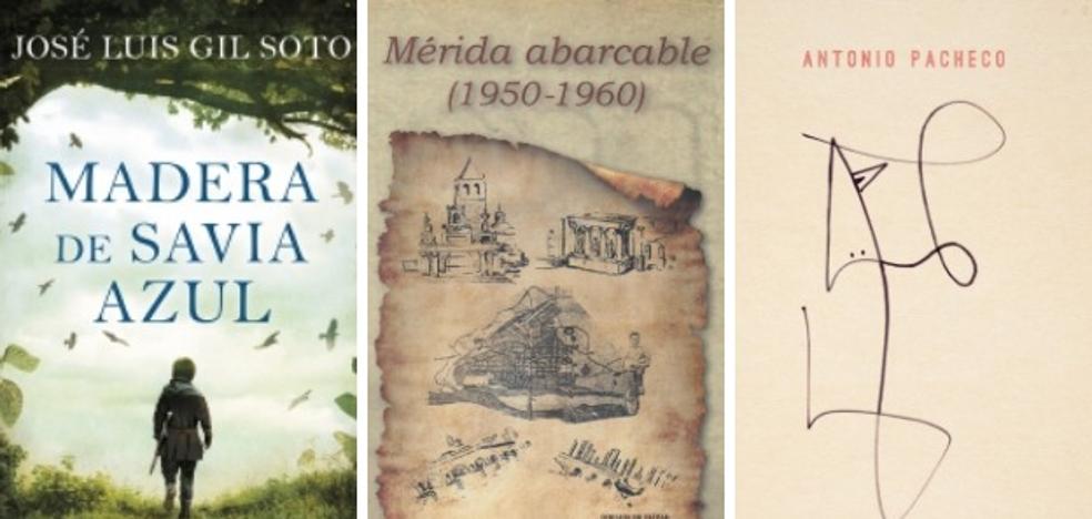 Mérida abarcable
