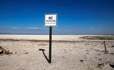 Especies de aves en peligro de extinción en el Lago Salton
