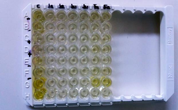 Otras tres hembras gestantes en el centro del lince ibérico de Zarza de Granadilla