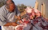 Ahigal celebra este sábado su IV Matanza Paleta