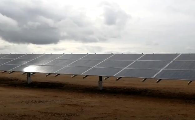 Las obras de seis plantas solares de Endesa generan 660 empleos directos en la región