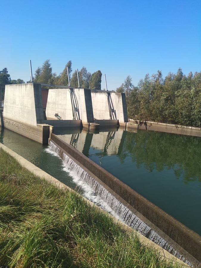 Los embalses pierden un 19% de su capacidad en un año