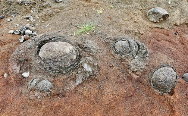 La Junta comprueba que son rocas magmáticas lo que parecían fósiles de huevos de dinosaurio