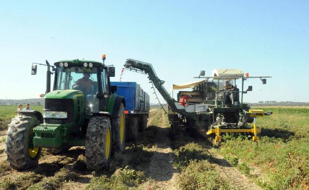 El papel del agro en 2050